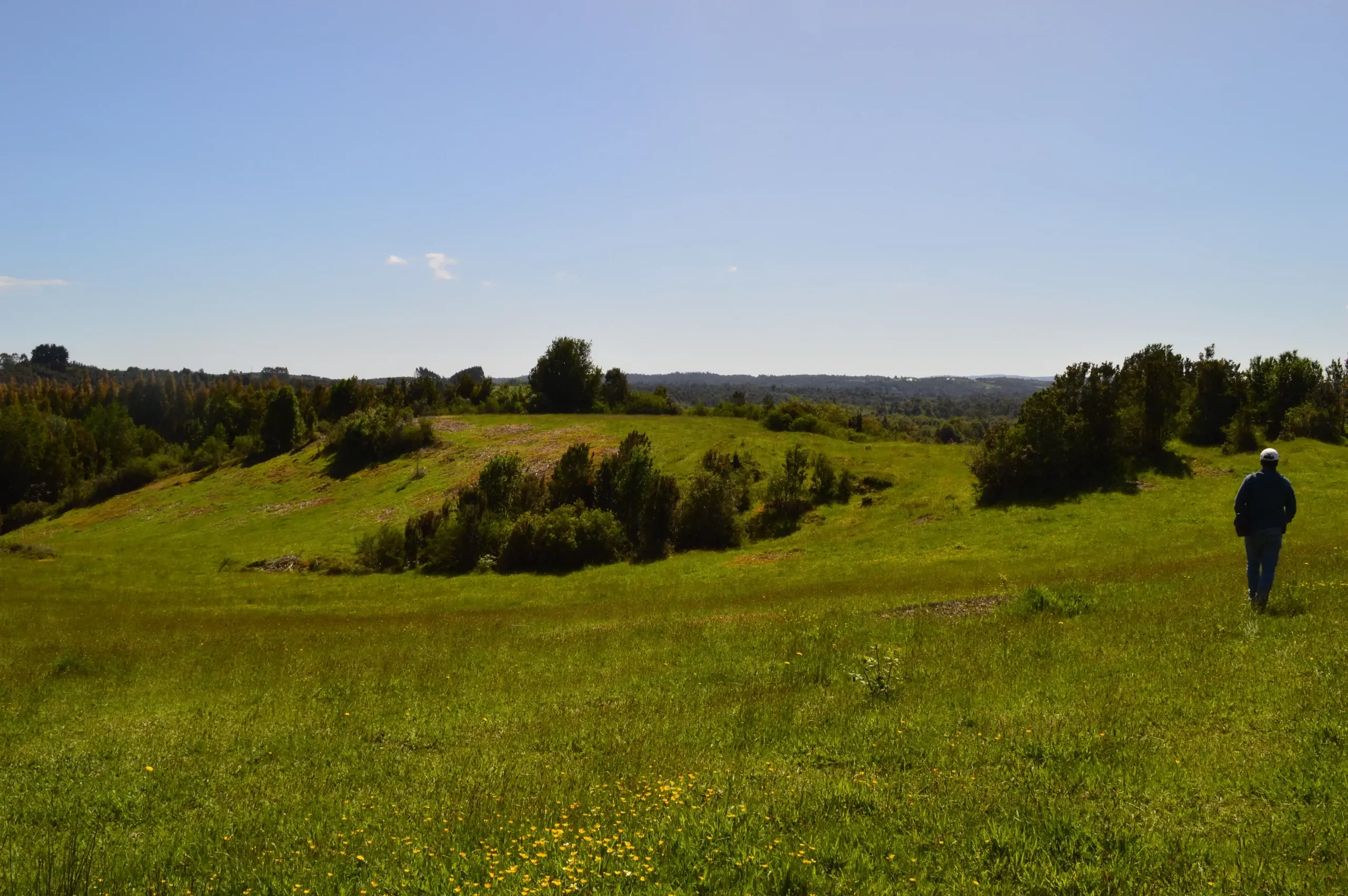 Refugio Arrayanes - Terreno en venta en Chiloé