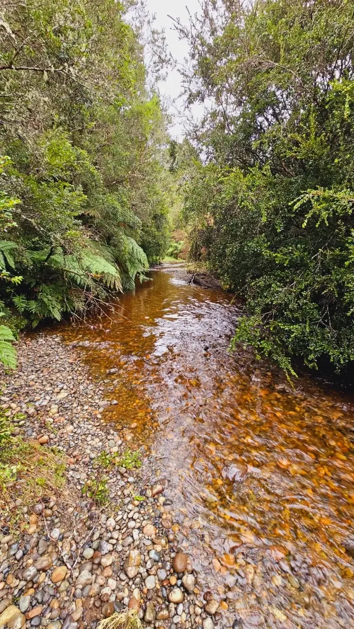 Refugio El Prado - Terrenos en venta Chiloé