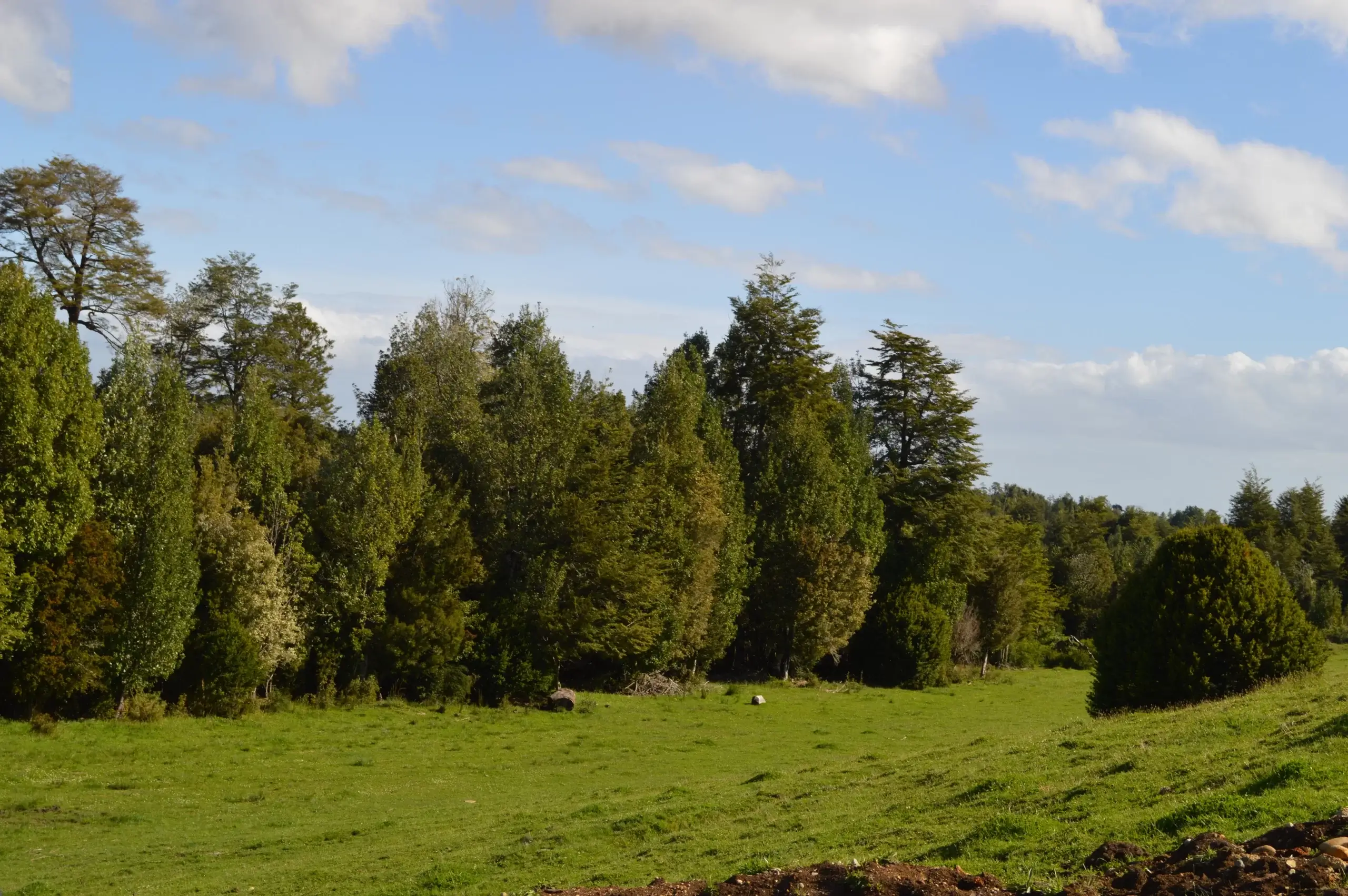 Refugio El Melí - Terreno en venta en Chiloé