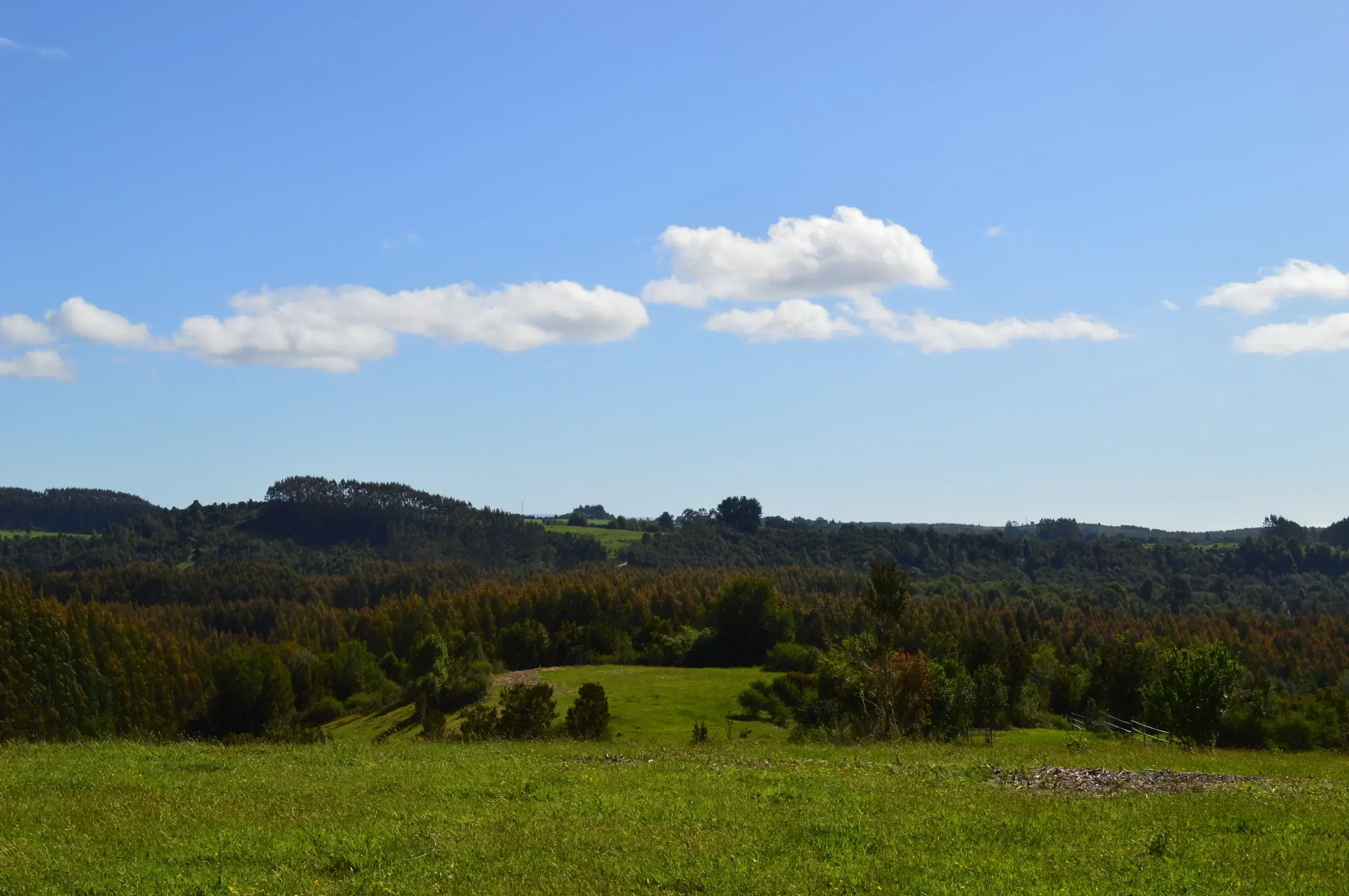 Refugio El Prado - Terreno en venta en Chiloé