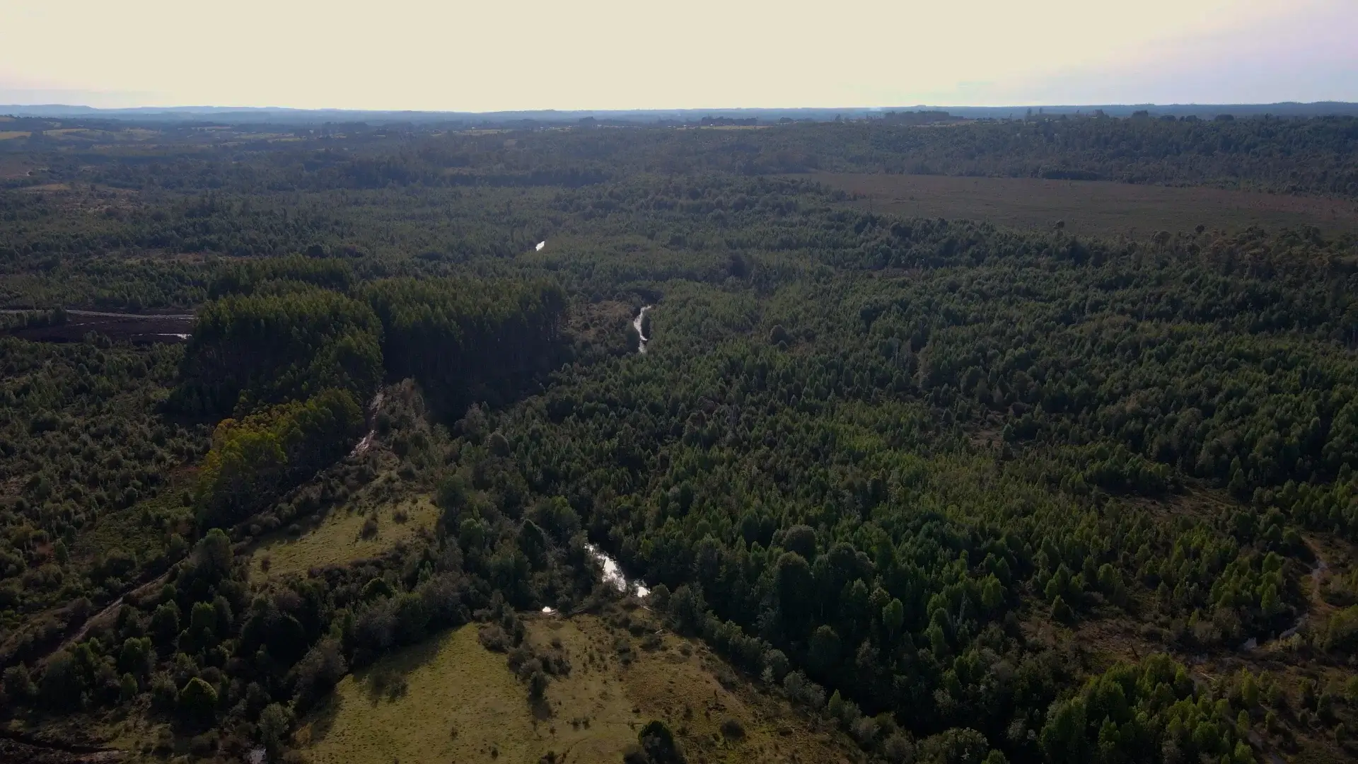 Refugio Puntra - Terreno en venta en Chiloé