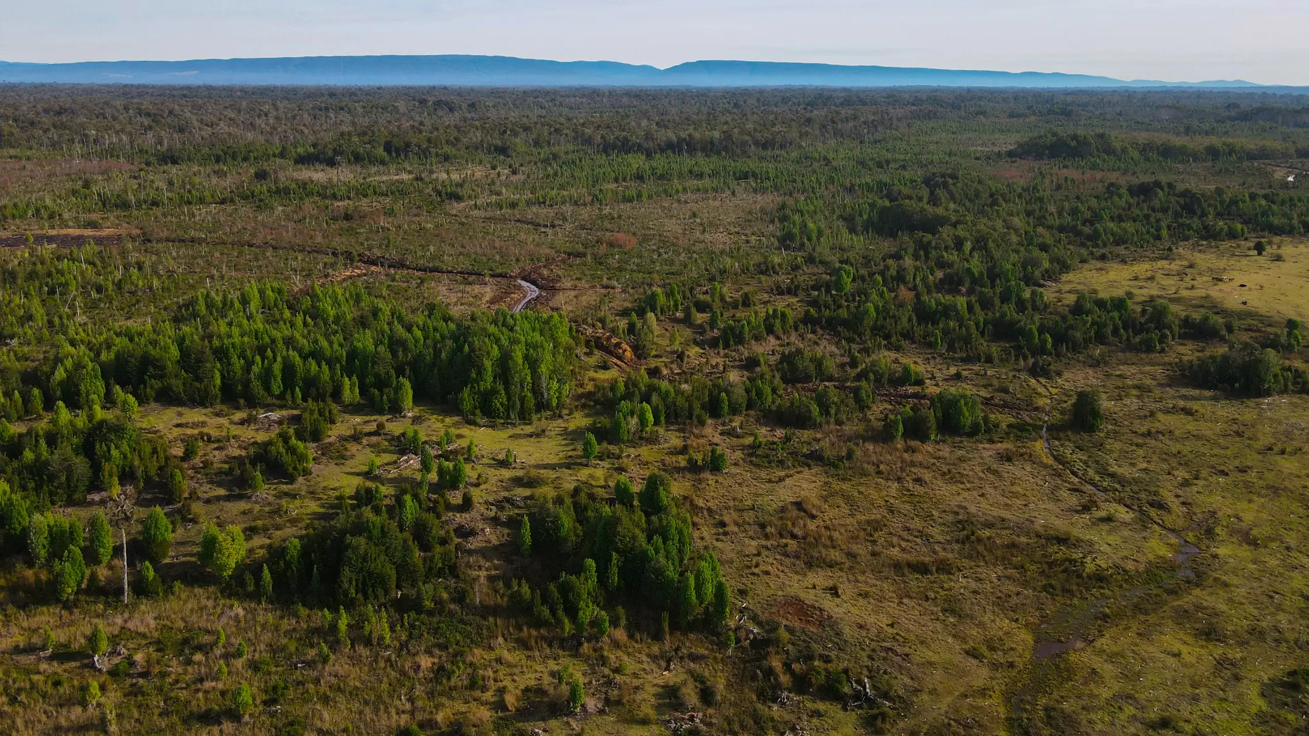 Refugio Puntra - Terreno en venta en Chiloé