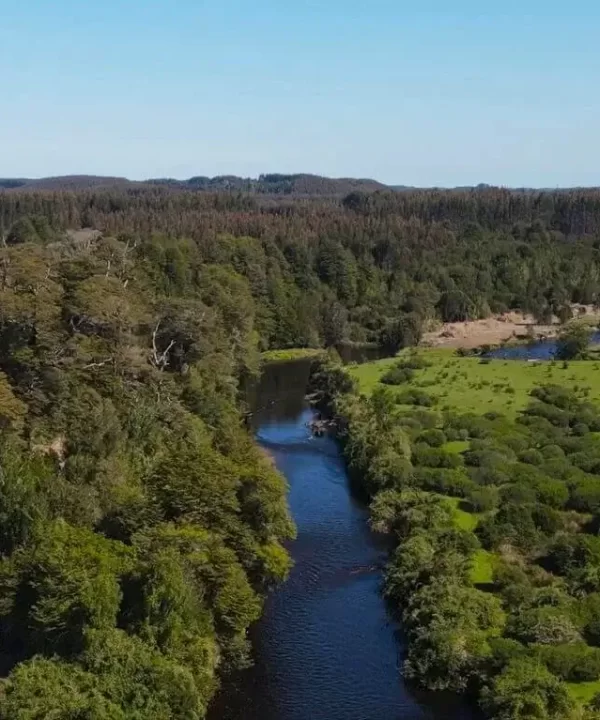 Refugio El Melí - Terreno en venta en Chiloé